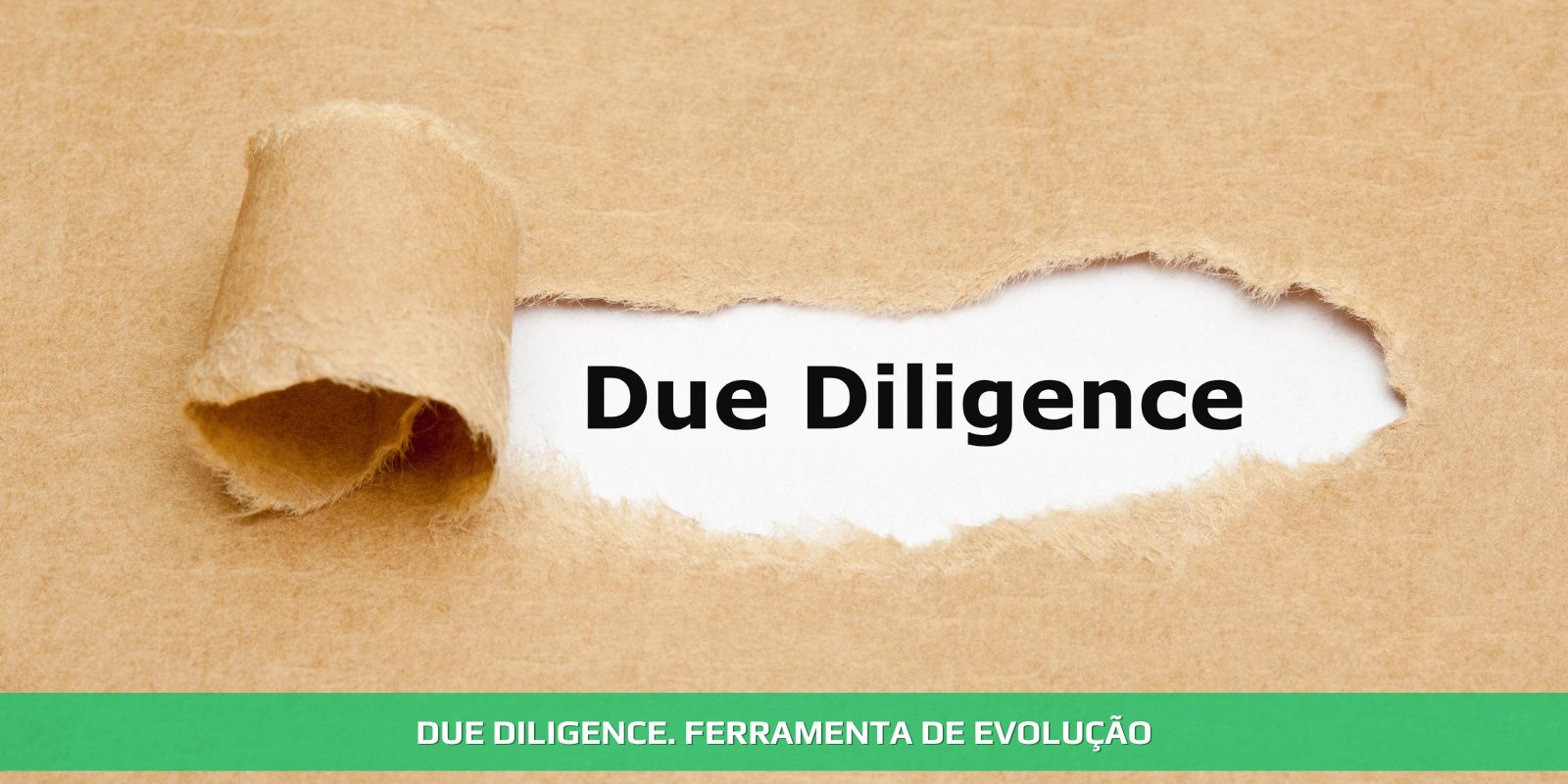 Figura 4 - DUE DILIGENCE. O QUE VOCÊ PRECISA SABER